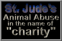 St. Jude's accepts animal abuse money