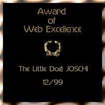 Award of Web Excellence