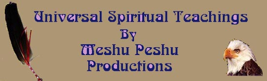 Banner for Meshu Peshu Productions