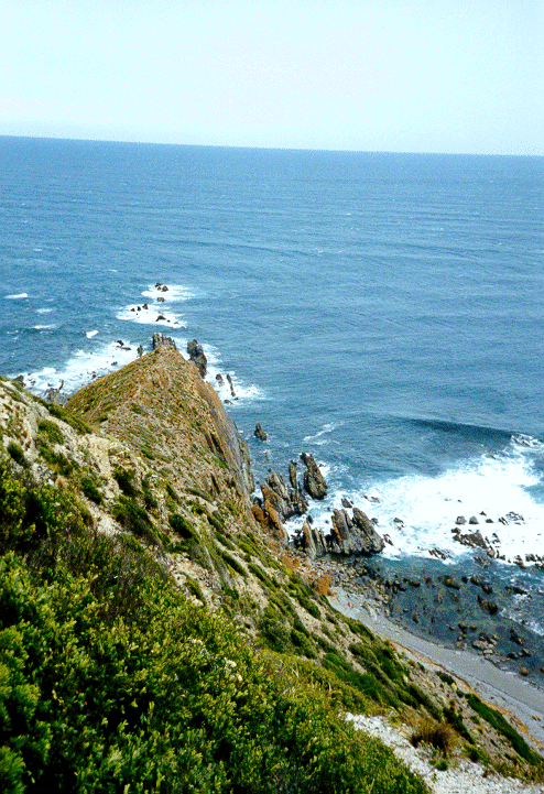 Cape Liptrap