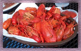 crawfish