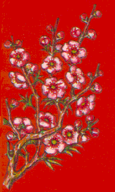 chinese blossom