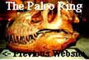 The Paleo Ring's PreviousWebsite