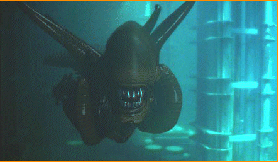 Swimming Alien