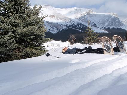 Tara laying on the snow by Red Deer Lakes