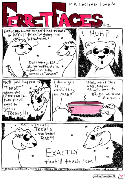 Ferret Comic