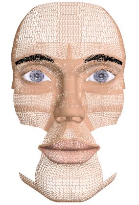 Interactive Human Face Modelling