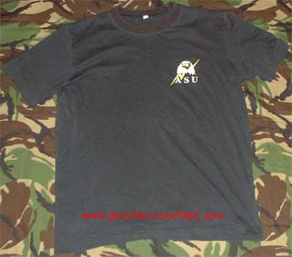 Asu Shirt