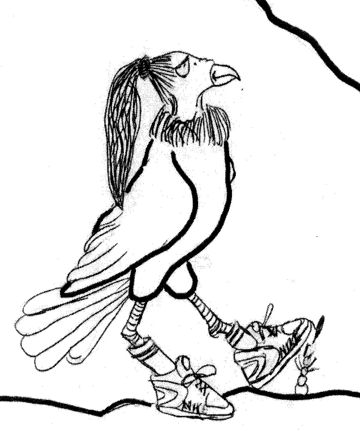 Illustration of Buzzard