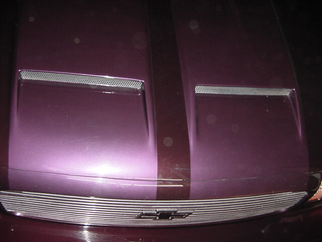 Caprice Hood Scoop