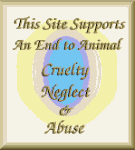 End to Animal Cruelty