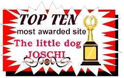 Top Ten Most Awarded Site