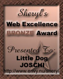 Sheryl's Web Excellence Bronze