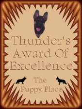 Thunder's Award of Excellence