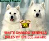 Whiteshadow Kennels Miles of Smiles Award