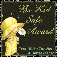 Bs Kid Safe Award