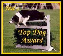 Jedstar's Top Dog Award