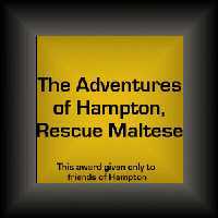 Hampton's rescue dog award