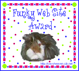 Funky Web Site Award