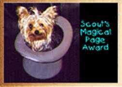 Scout's Magical Page Award