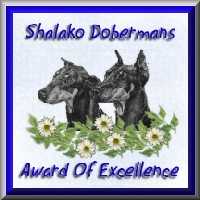 Shalako's Award of Excellence