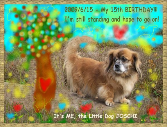 Joschi's 15th Birthday - Congratulations!