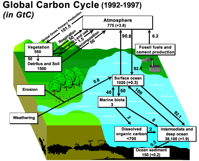 global warming cycle