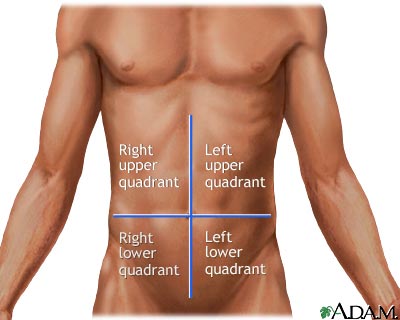 Since the abdominal area