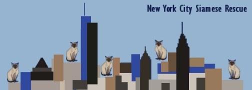 NYC-SRC banner