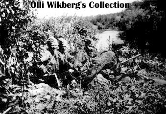 Ss Division Wiking