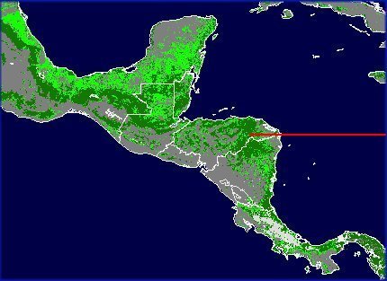 Mesoamerican Biological Corridor In Honduras