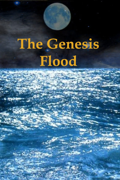 genesis flood
