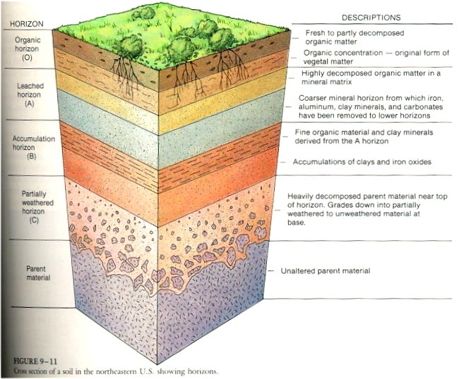 eco-notes