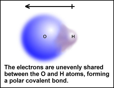 energy of hydrogen ion bonding to oh