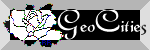 Geocities Logo button lace