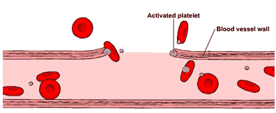 2. Blood Vessels Are Damaged And Left Exposed To Air. Enzyme 