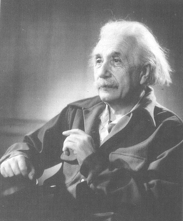 Portrait Of Einstein