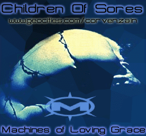 All Watched Over By Machines Of Loving Grace by Richard