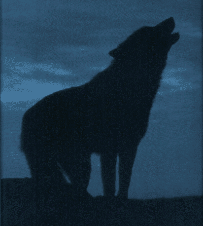 http://www.oocities.org/the_sandwolf/blackwolfsilhouette.gif