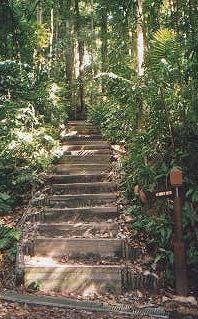 Bukit Timah Primary