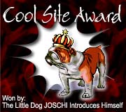 Cool Site Award