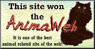 Anima Web Award / The former URL is no longer valid!