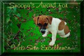 Snoopy's Award for Web Site Excellence