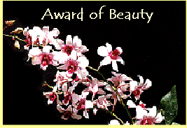 Award of Beauty