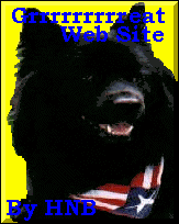 Bear The Chow Great Web Site