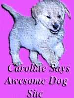 Caroline Says Awesome Dog Site