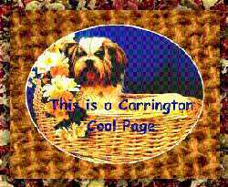 Carrington's Cool Page Award