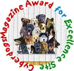 Cyberdogs Magazine Award