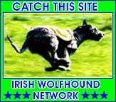 Irish Wolfhound Catch This Site