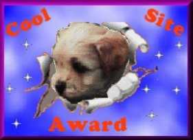 Cool Site Award